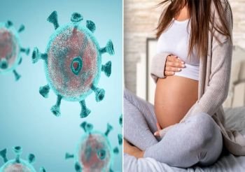 Hamilelikte ve Emzirme Döneminde Koronavirüs